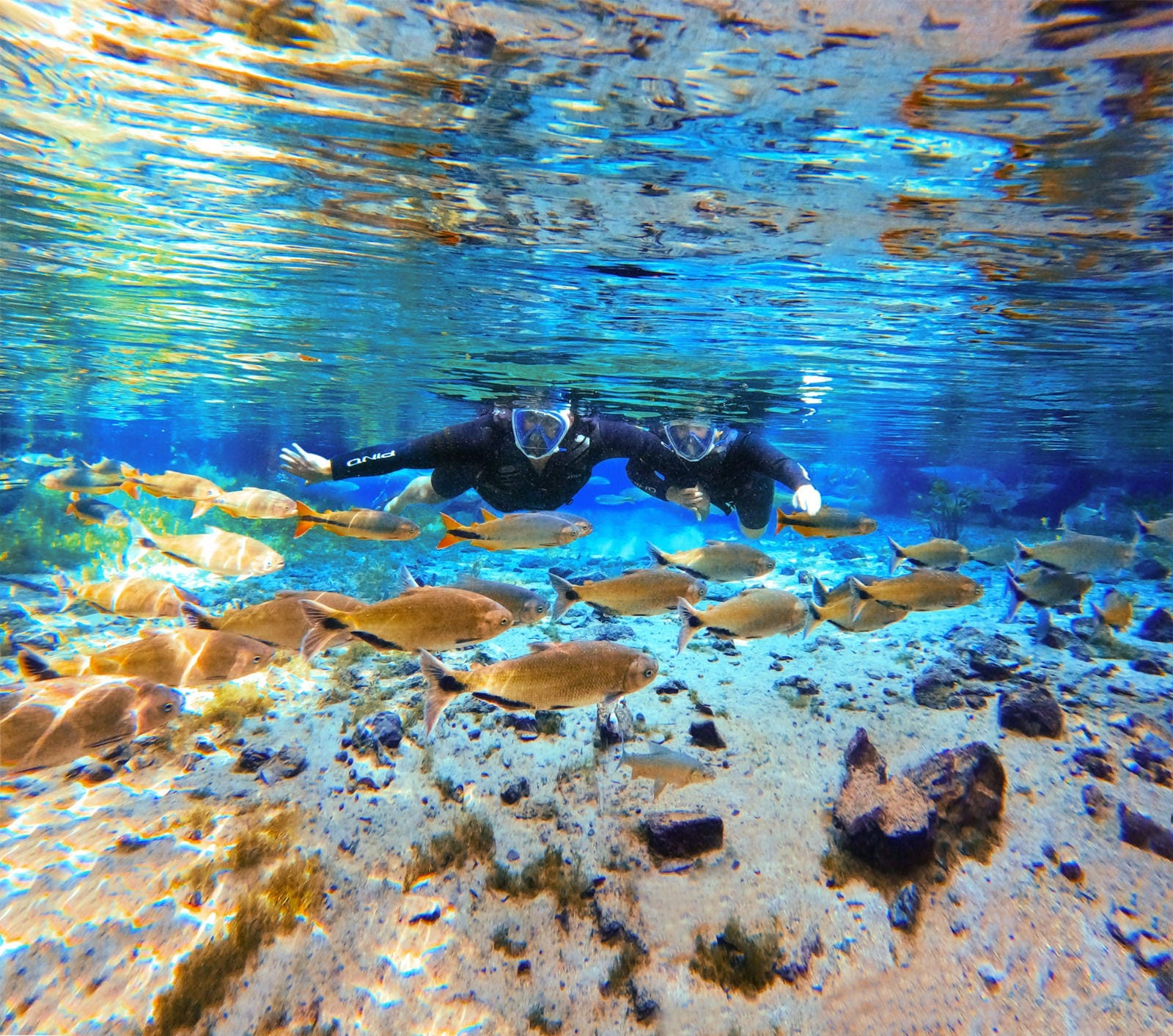 No período seco no Centro-Oeste, as águas dos rios de Bonito ficam mais cristalinas e propícias para as flutuações