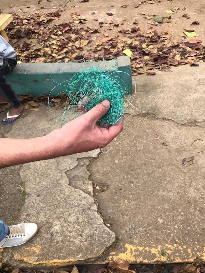 linha chilena