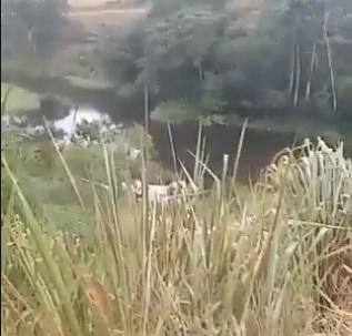 Cinco pessoas morreram no acidente às margens da BR-381