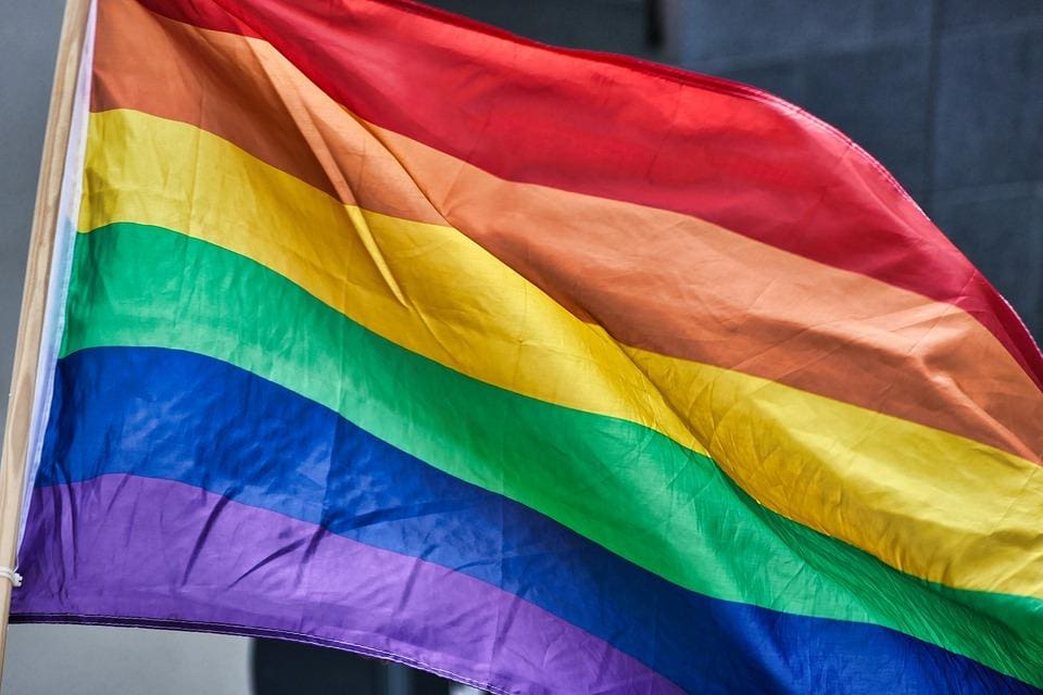 Bandeira LGBTQIAPN+ tradicional foi criada no fim dos anos 70 nos EUA