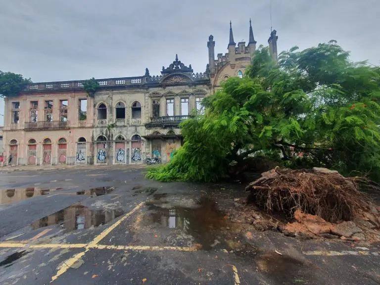 Tempestade provocou queda de árvores em Manaus