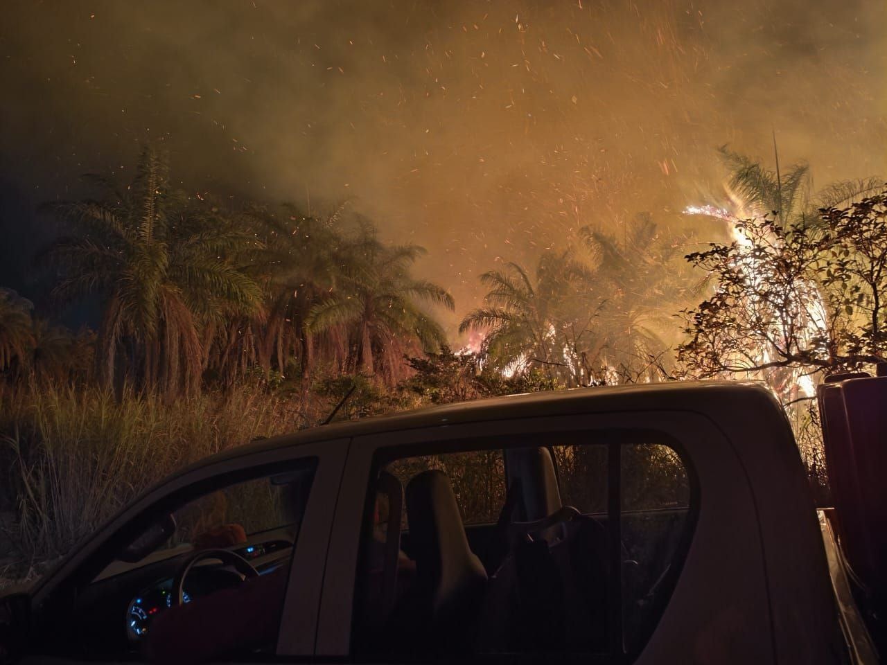 Chamas consumiram cerca de 25 hectares de vegetação nativa