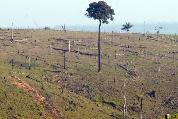 Ibama quer focar no problema do desmatamento para contribuir com as metas de redução de gases estufa
