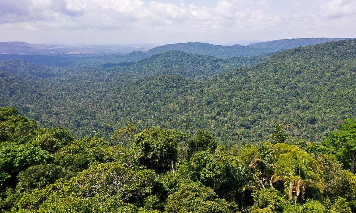 Amazônia