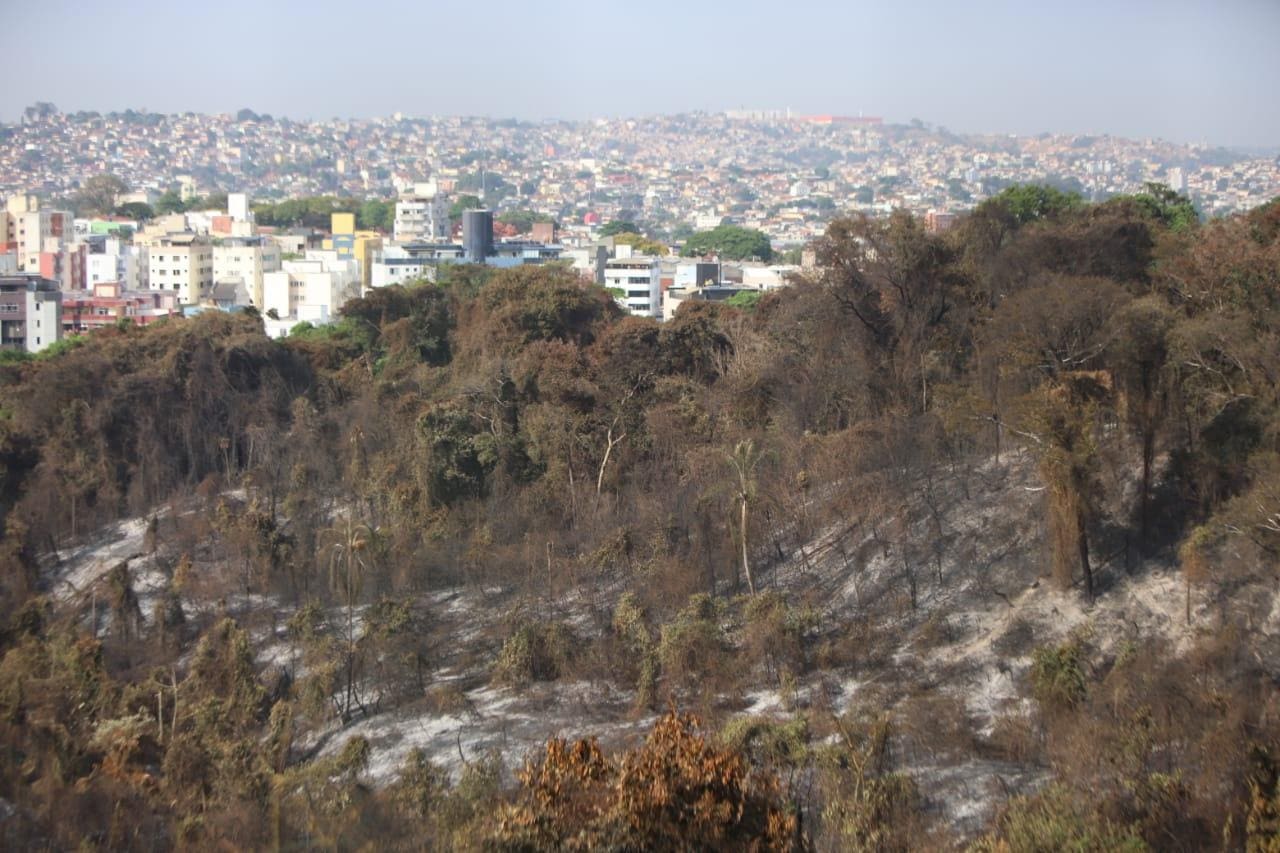 Fogo assola o bairro Castelo