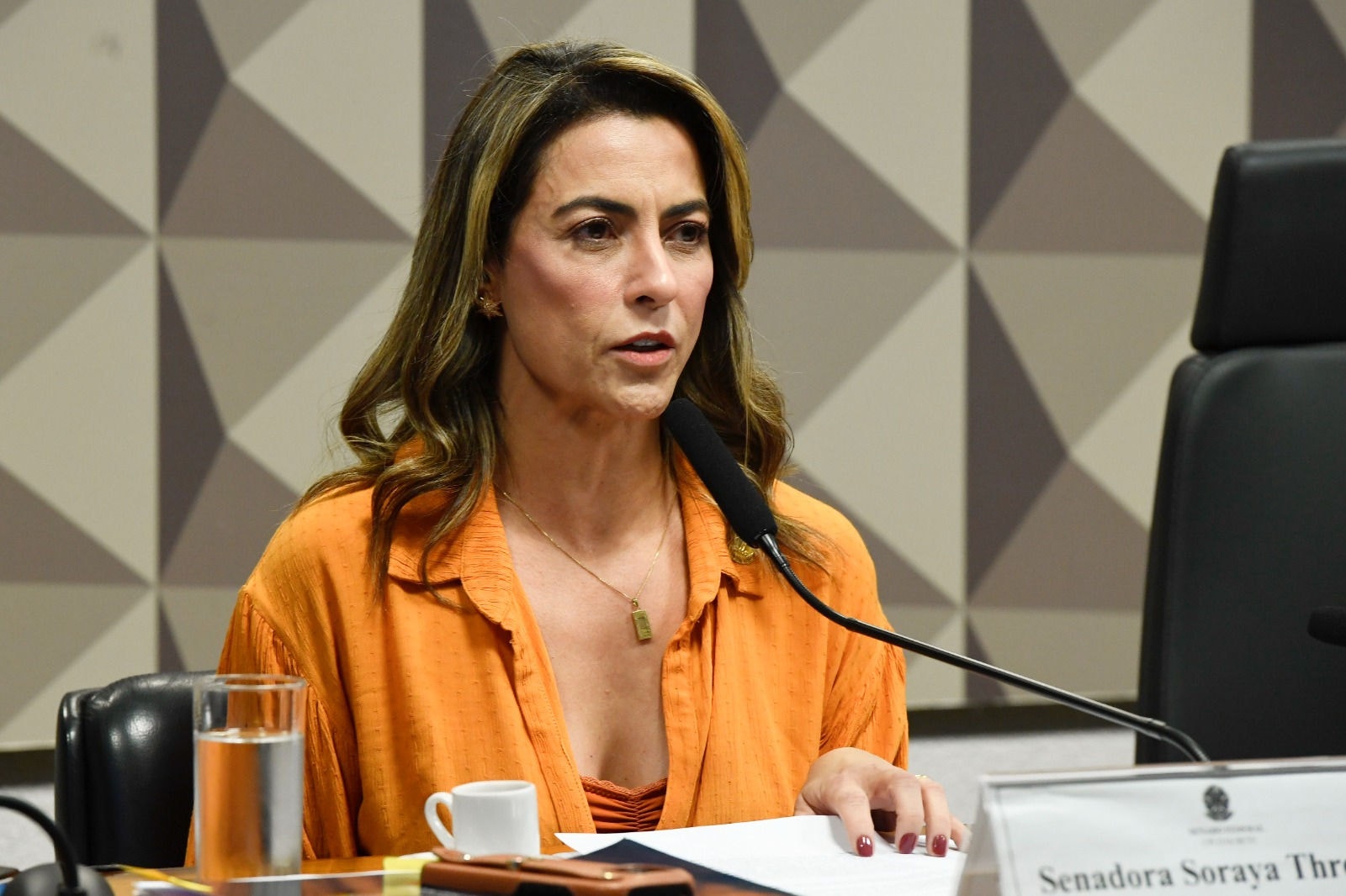 Soraya Thronicke foi vaiada por fãs da banda Roupa Nova durante show