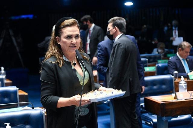 Kátia Abreu no plenário do Senado Federal