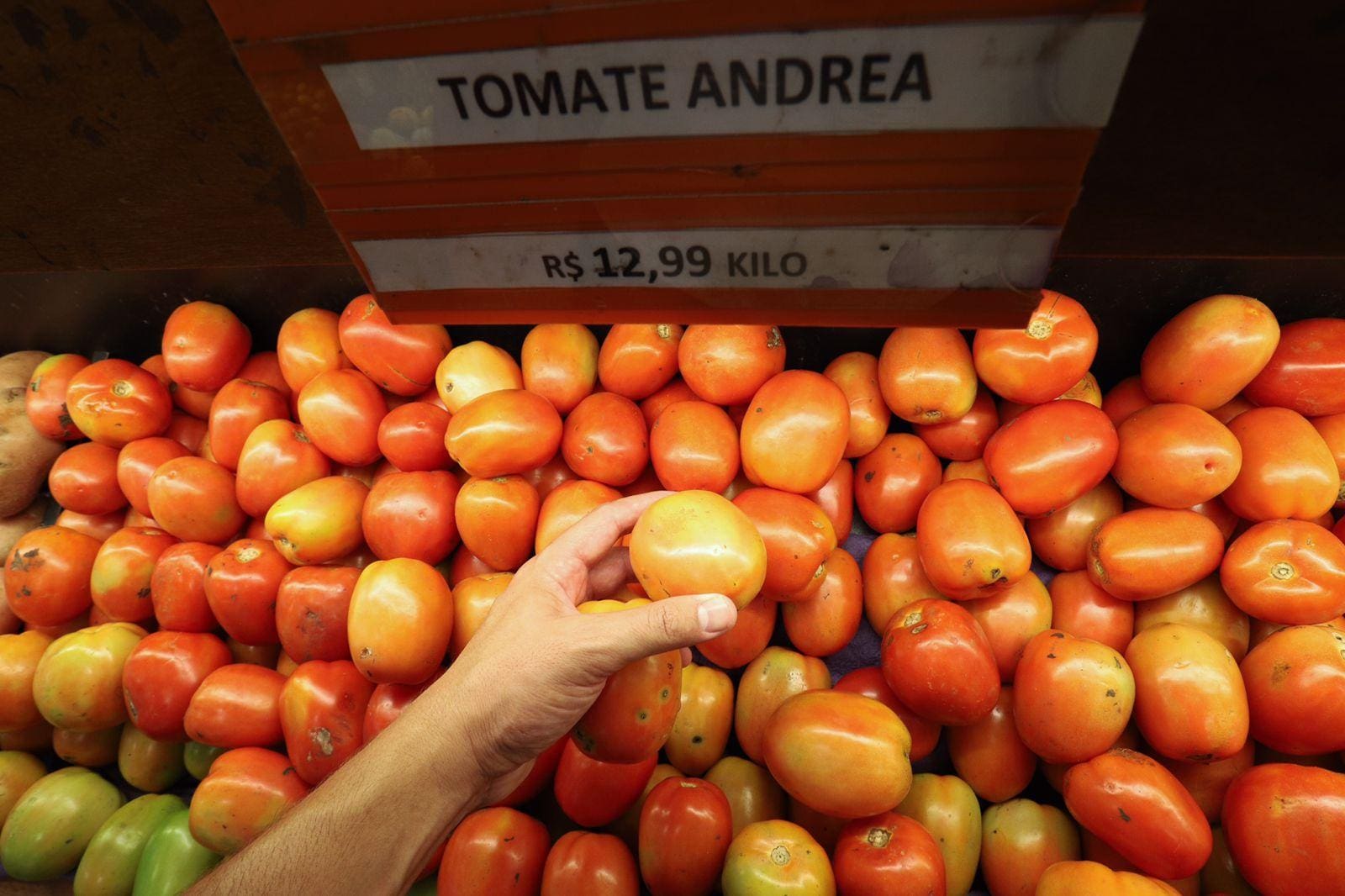 Preço do tomate em BH
