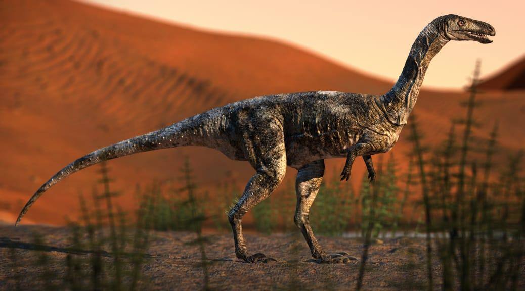 Vespersaurus paranaensis, de pequeno porte, era predador que vivia há 85 milhões de ano