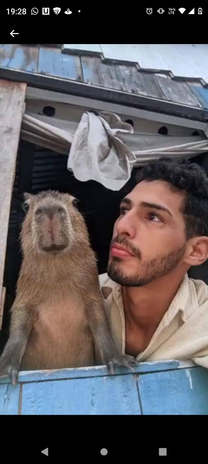 Capivara e tiktoker