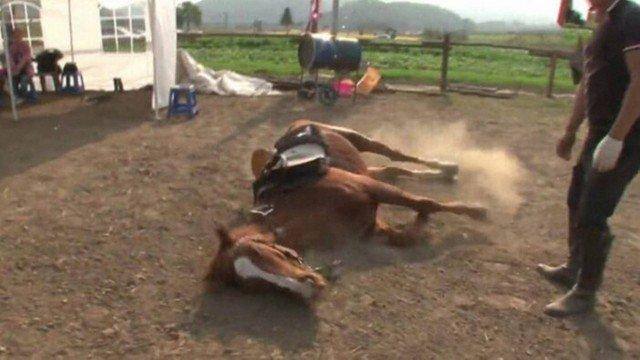 Cavalo ao chão se fingindo de morto