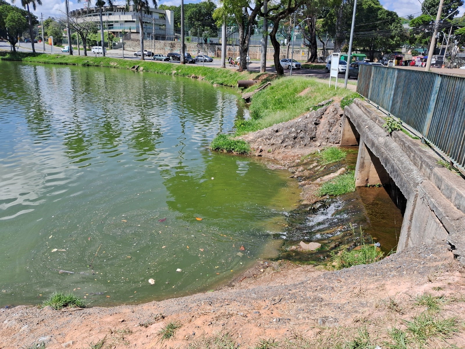 Contratos com empresas para despoluição da Lagoa da Pampulha entraram na mira de CPI da Câmara de BH