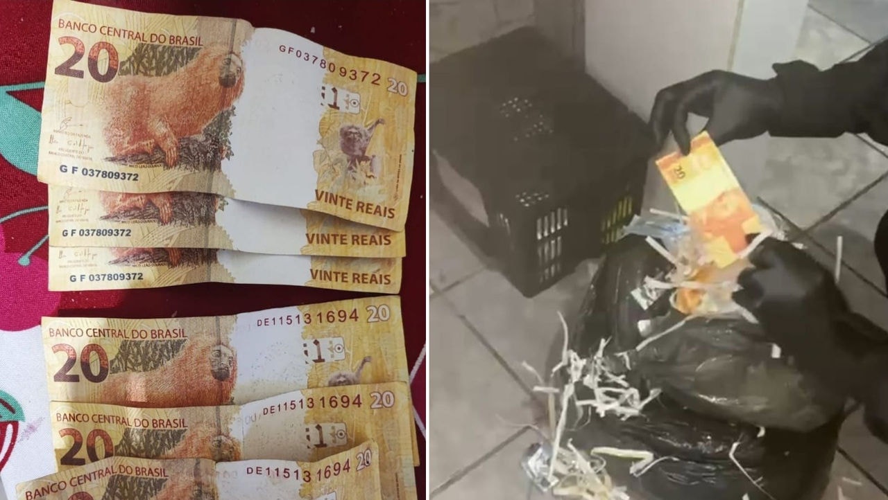 Polícia Federal apreendeu diversos materiais durante a operação