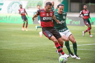 Partida entre Palmeiras e Flamengo foi cercada por muita polêmica e confirmada pouco antes do horário previsto