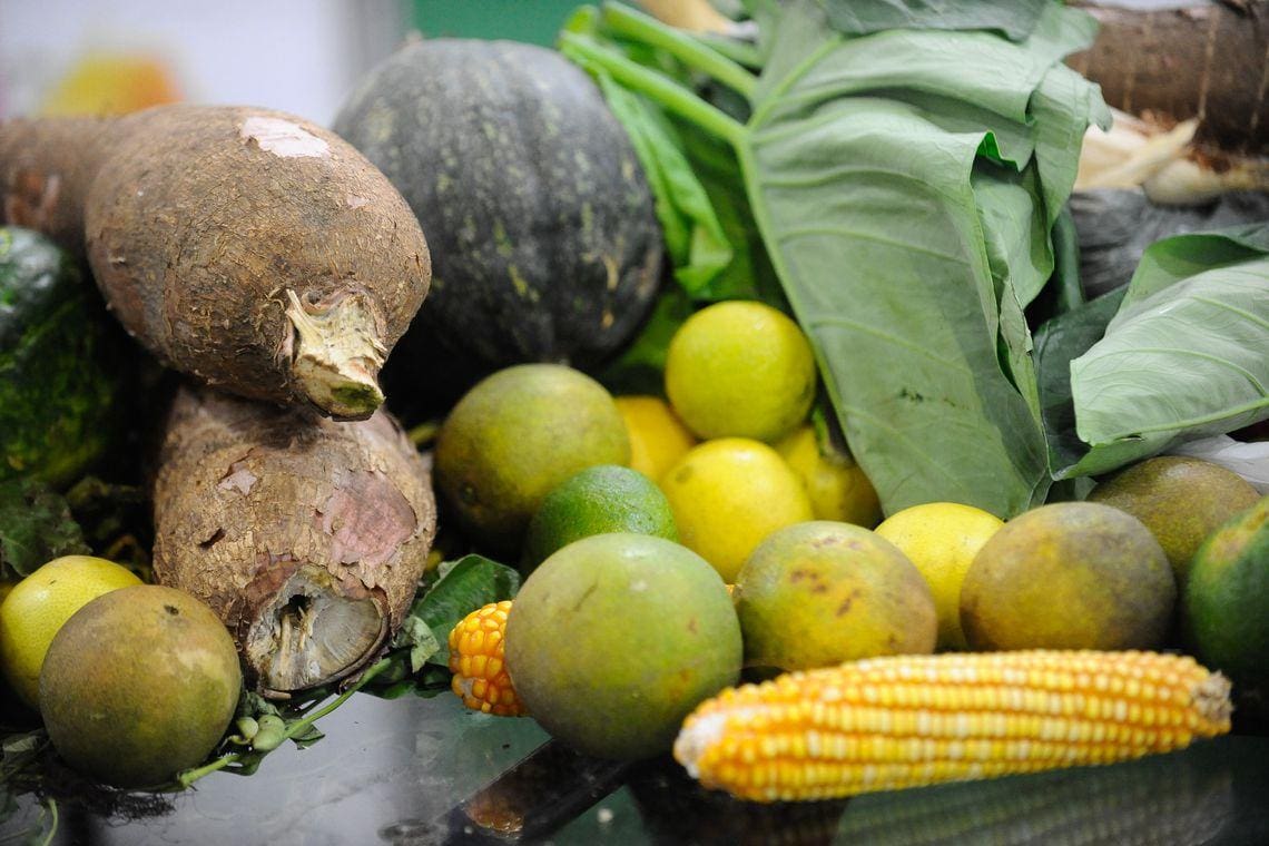 alimentos orgânicos