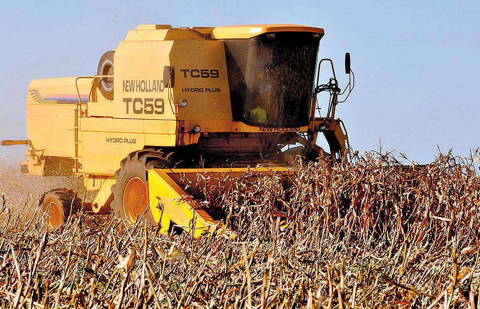 Dobradinha. Soja e milho puxam safra recorde que traz alívio para os preços dos alimentos