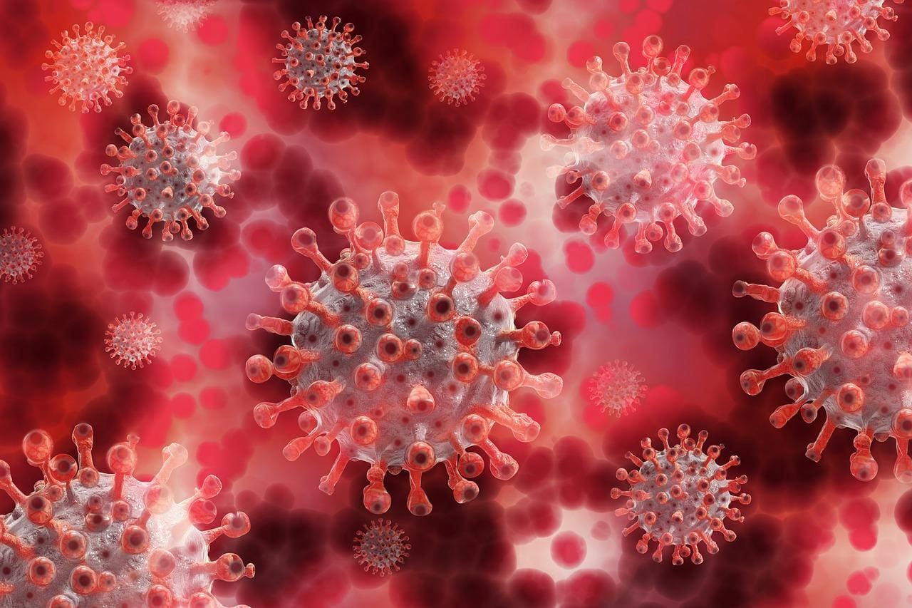 BA275: subvariantes da ômicron favorecem reinfecção, alerta pesquisador