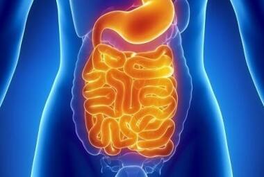 Inovação no o tratamento  de infecção intestinal 