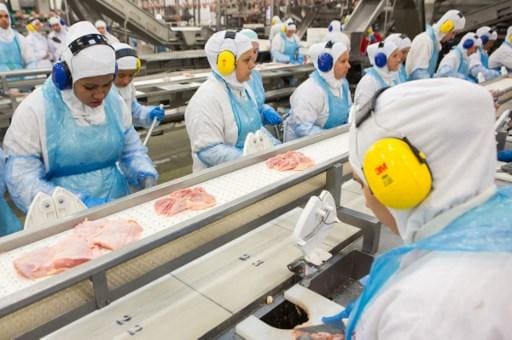 JBS é uma das principais empresas no ramo de alimentos
