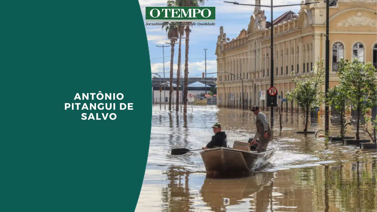 O brasileiro não precisa se preocupar com a falta desse alimento básico