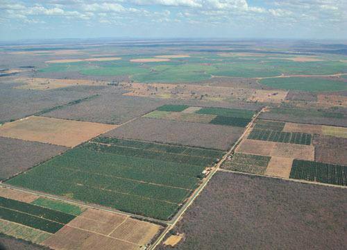 Norte de Minas, que já tem o Jaíba, pode receber novo projeto de cultivo em terras irrigadas