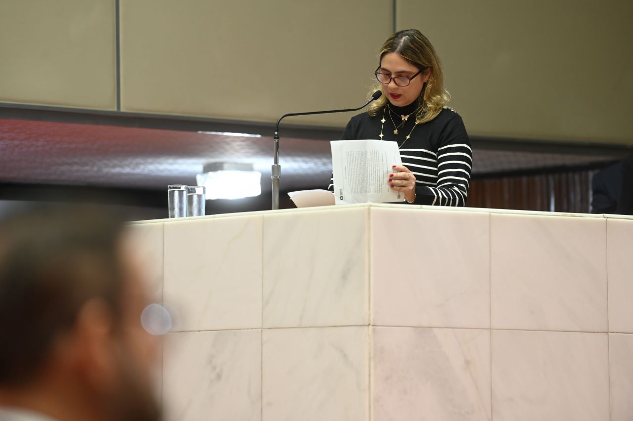 Argumento de Beatriz Cerqueira é que a PEC seria inconstitucional, porque cabe exclusivamente à ALMG a competência de realizar um referendo