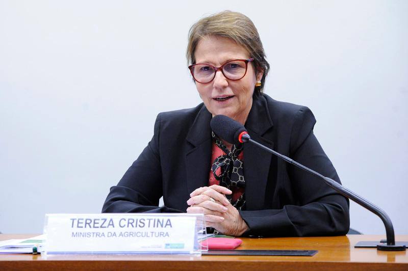Ministra de Estado da Agricultura, Pecuária e Abastecimento, Tereza Cristina Corrêa da Costa Dias