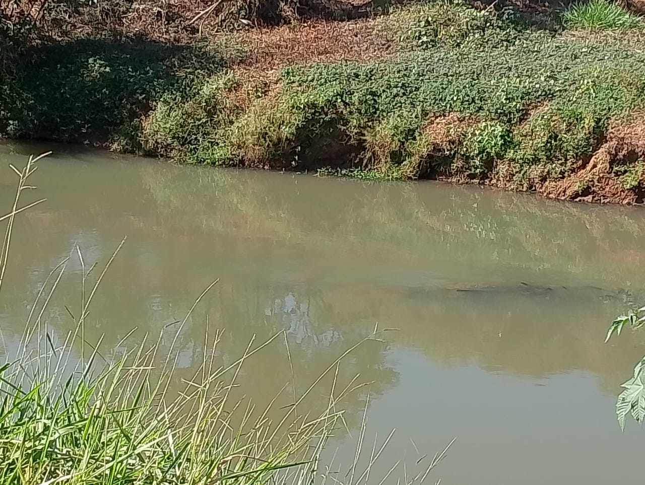 Rio Carangola Bomba instalada no rio Carangola, no muncípio de Faria Lemos, preocupa moradores, que suspeitam de garimpo ilegal de ouro