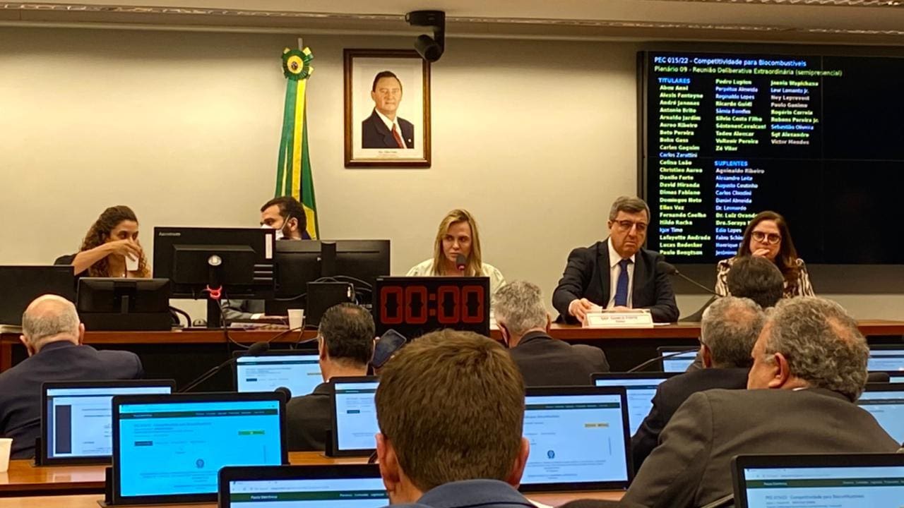 Na imagem, comissão especial para discutir a PEC dos Benefícios