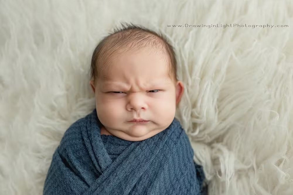 Ensaio fotográfico de 'bebê mal-humorado' viraliza na web