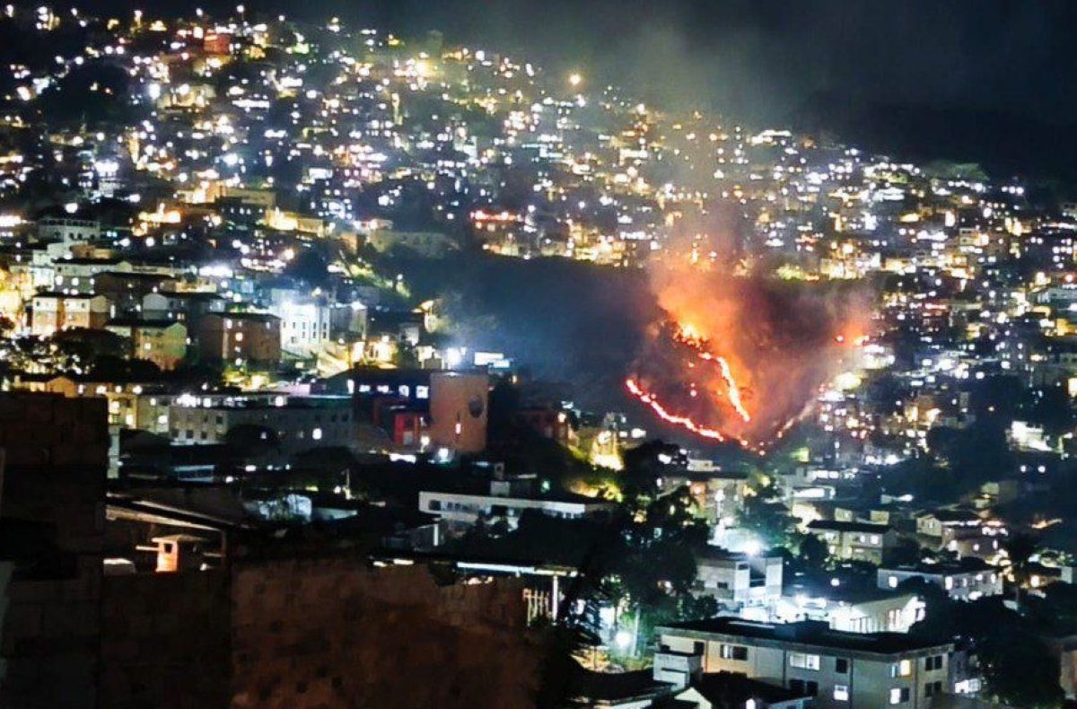 Incêndio atinge área de vegetação na região Centro-Sul de BH  