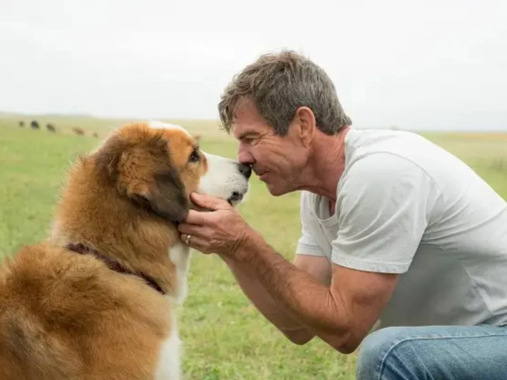 Duvido você não se emocionar com esse filme disponível no Globoplay