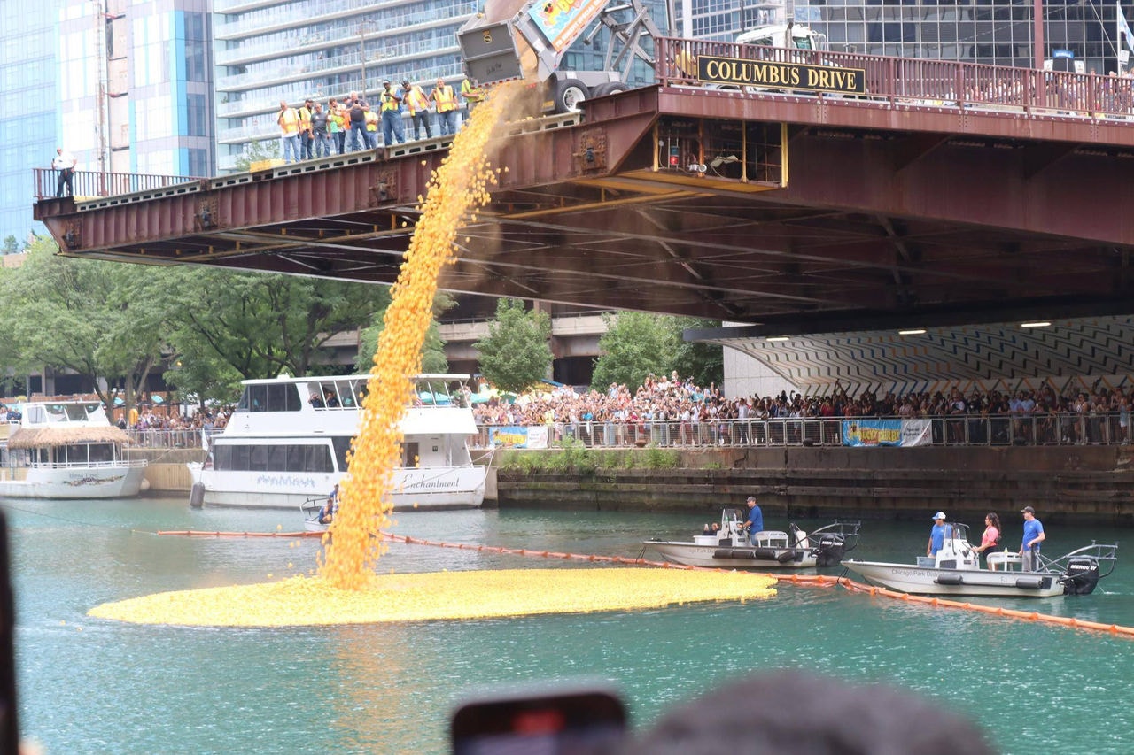Corrida de patinhos de plástico acontece anualmente no rio Chicago