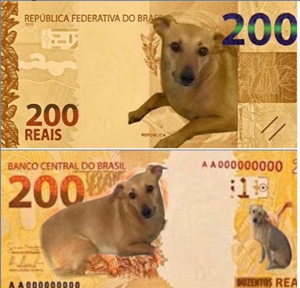 Sem título1png