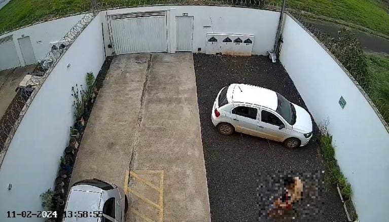 Vizinho registrou em vídeo as agressões 