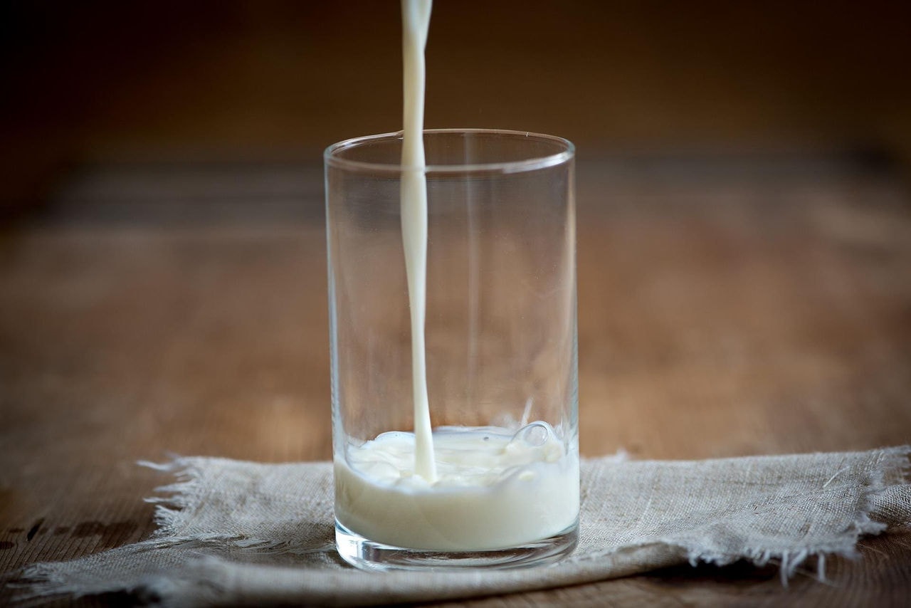 Rico em cálcio e vitaminas, o leite está presente na dieta de muitos brasileiros