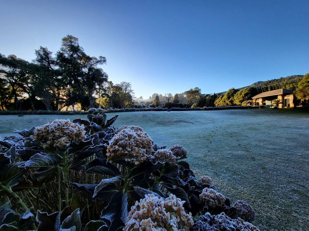 Geada em Monte Verde e frio intenso