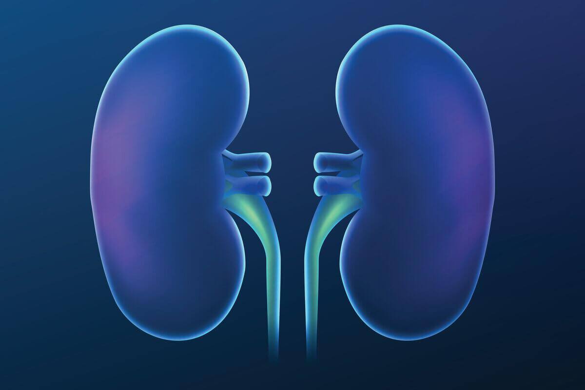 Doação de rins pode devolver saúde para pacientes com doença renal