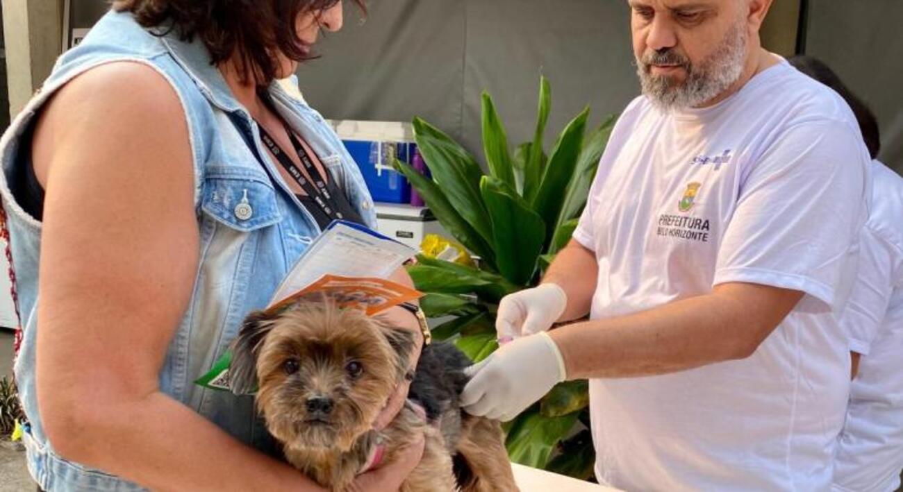 A vacina antirrábica animal é oferecida durante todo o ano pela rede SUS-BH nos cinco Centros de Esterilização de Cães e Gatos 