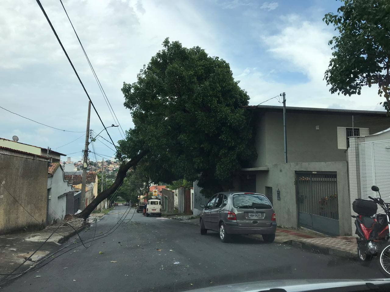 Queda de árvores deixa moradores sem energia por mais de 36 horas
