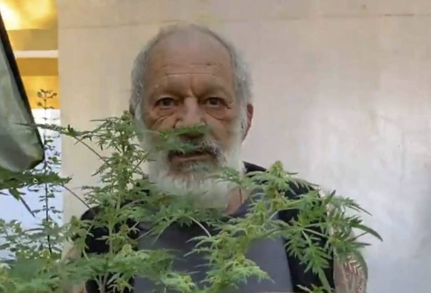 Ricardo Petraglia mostra a sua plantação de maconha