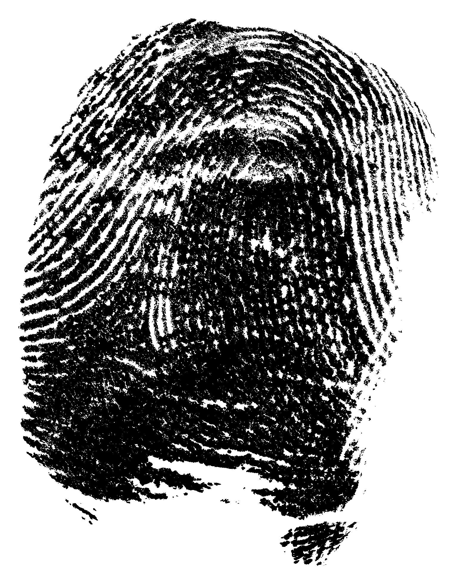 Bloody fingerprint isolated on a white background, top view. Fingerprint made with blood.
