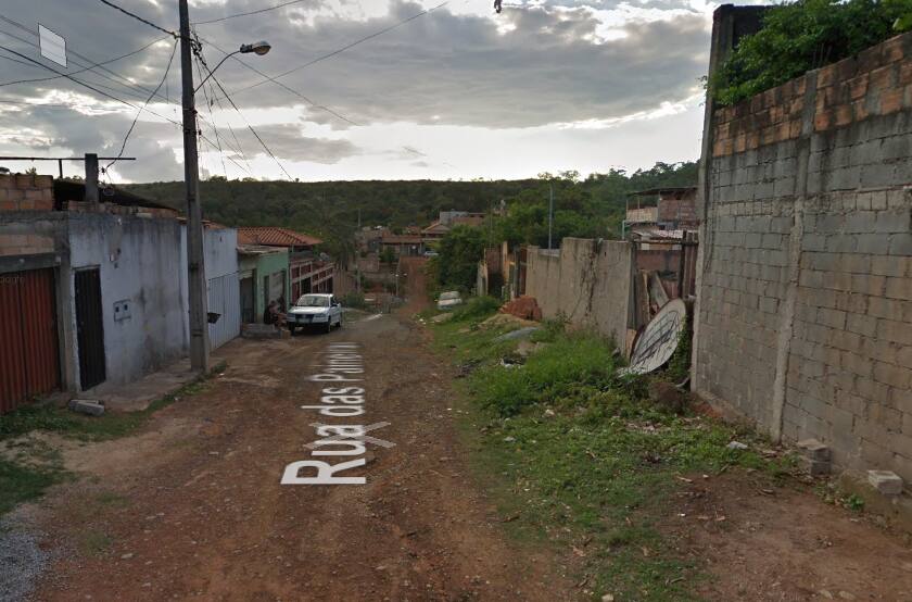 Rua das Palmeiras