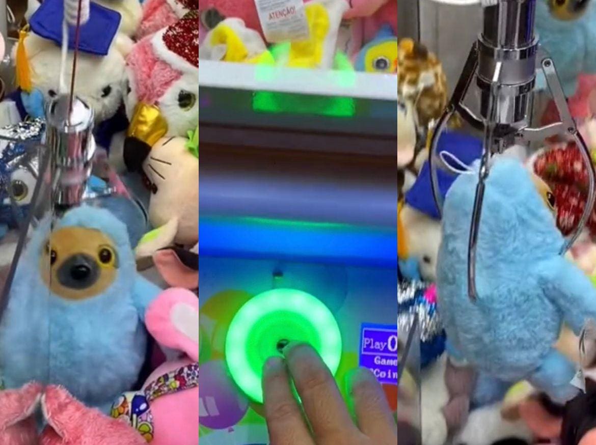 Vídeo urso máquininha