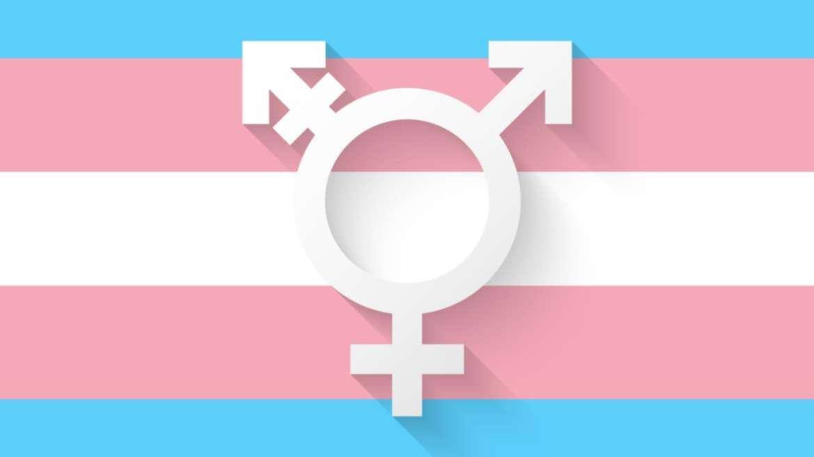 Bandeira do movimento trans