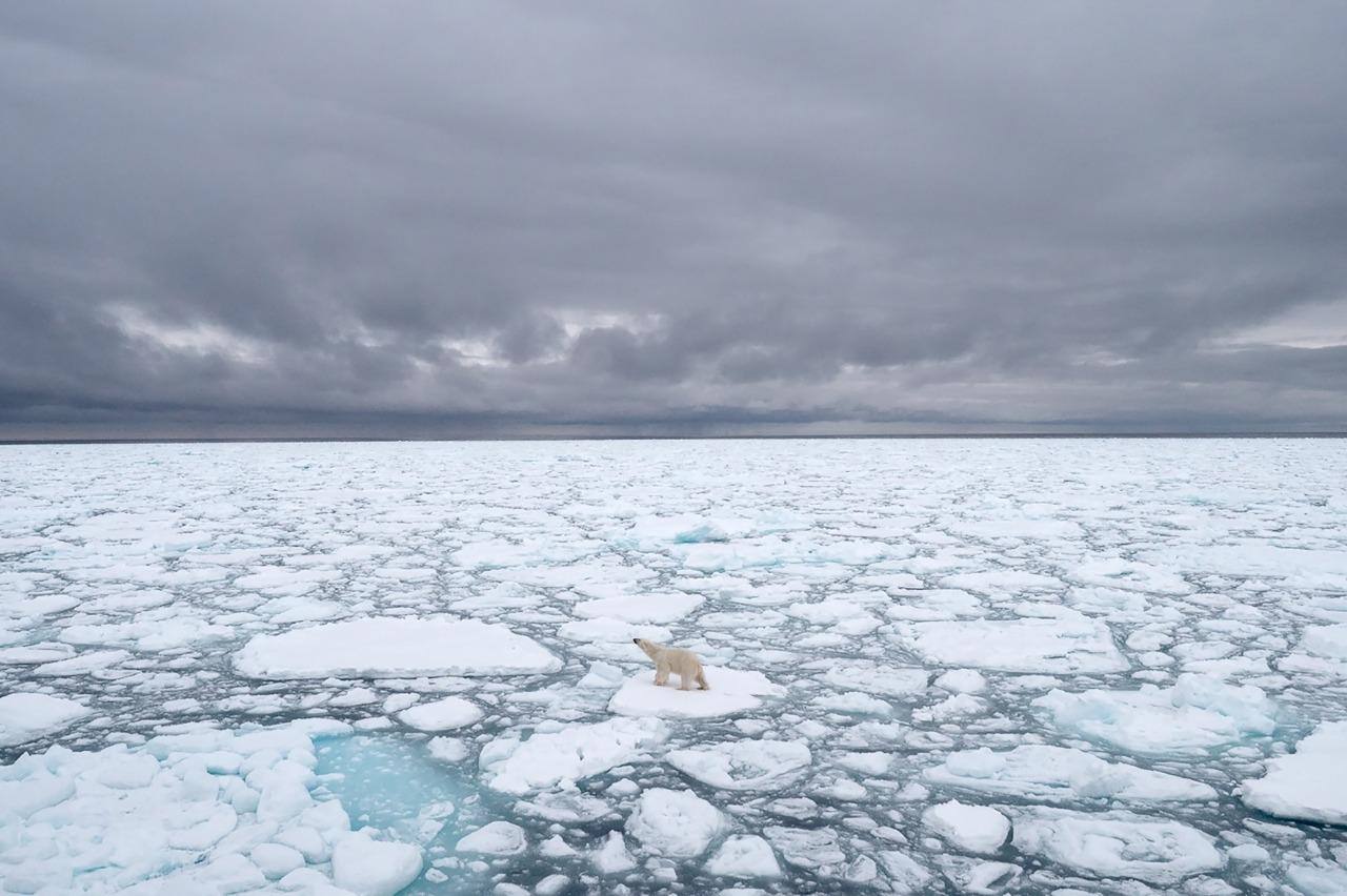 Recorde de calor foi registrado em Svalbard, arquipélago norueguês no Ártico
