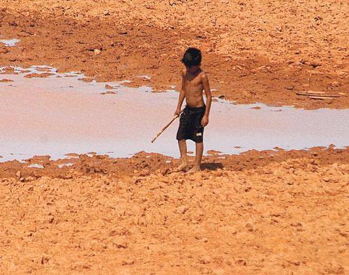Nordeste enfrenta maior seca em 100 anos