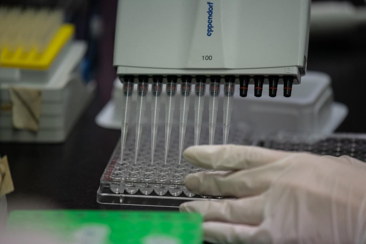 A empresa Vida Biotecnologia licenciou a tecnologia