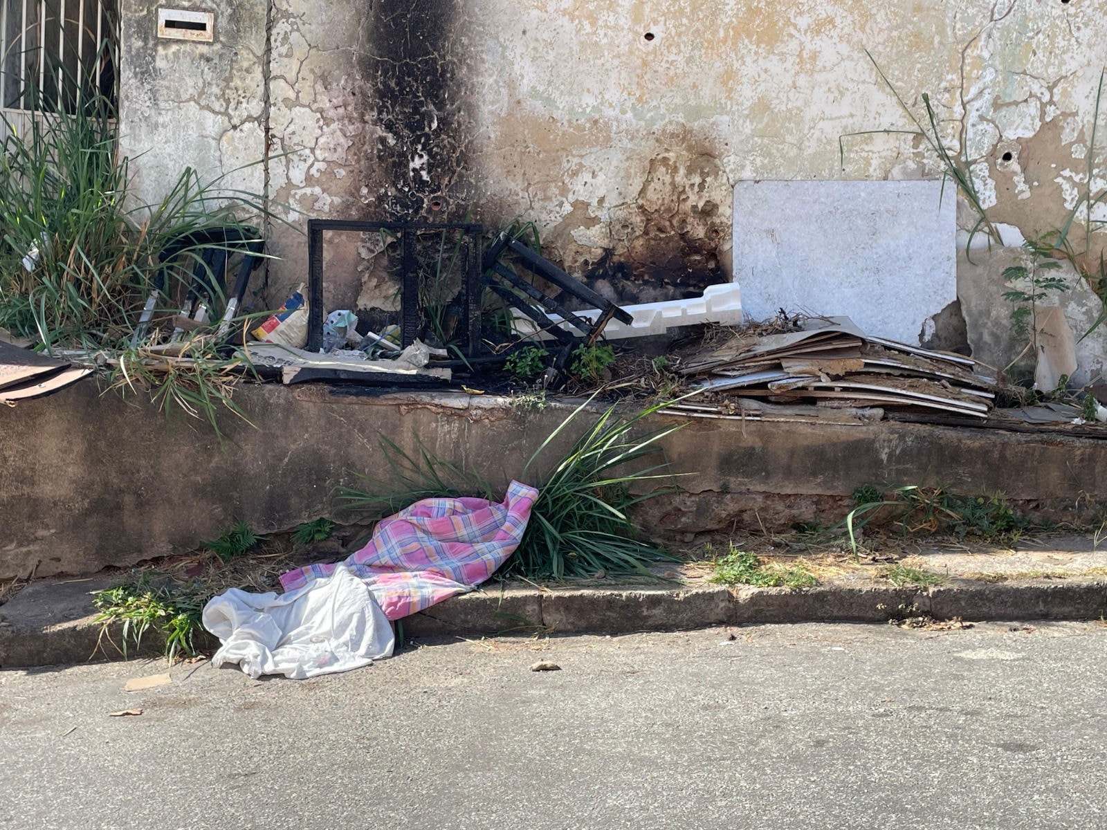 Moradores denunciam que a presença de escorpiões e ratos é constante no local. 