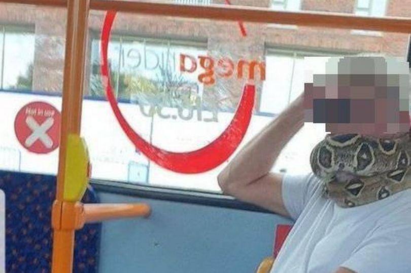 Homem levava a cobra no pescoço como se fosse uma máscara para Covid